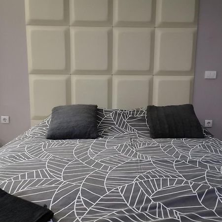 Intima Spa Apartmani 贝尔格莱德 客房 照片