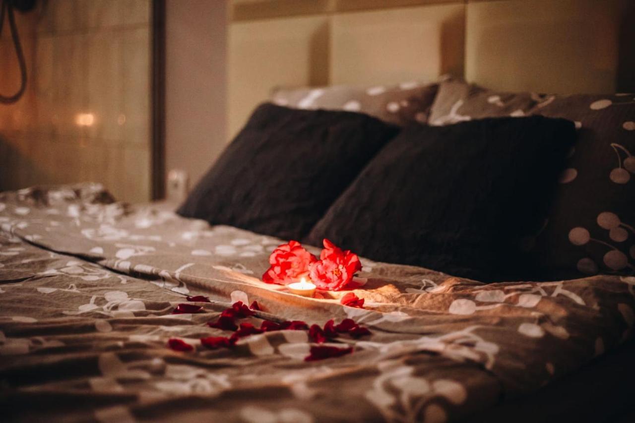 Intima Spa Apartmani 贝尔格莱德 外观 照片