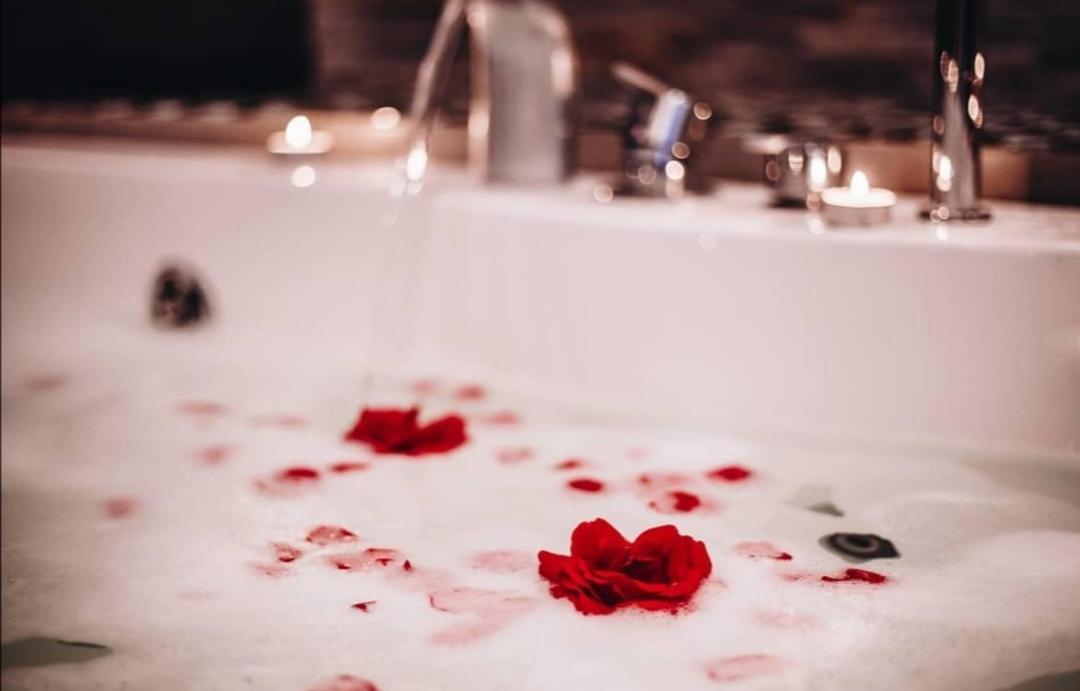 Intima Spa Apartmani 贝尔格莱德 外观 照片